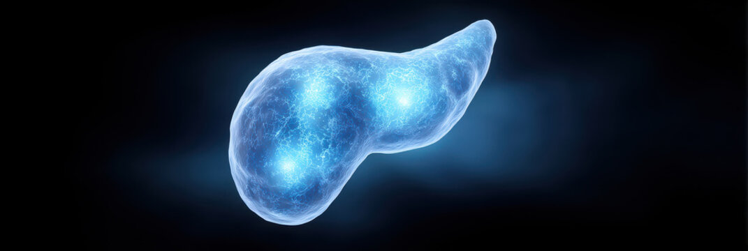 Glowing pancreas blue light digital illustration organ human body healthcare medical anatomy science futuristic isolated 3D render healthy biology internal disease technology innovation abstract
