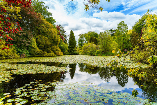 The lake at Altamont House, Co. Carlow, on a May morning