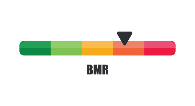 Horizontal BMR Basal Metabolic Rate Indicator Bar Pointing to High Risk Zone