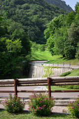 Fototapeta premium Curved mountain road surrounded by lush green forest in northern Italy