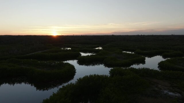 Atmospheric aerial drone footage pulling back over calm mangrove wetlands & reflective waterways during sunrise with warm morning light, coastal estuary scenery, & peaceful natural Florida landscape.