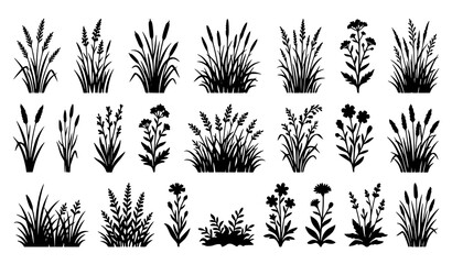 Wild Grass and Meadow Plant Collection with Natural Botanical Silhouettes and Garden Vegetation © SobujChandra