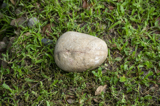 Single white stone resting on green grass during daylight 