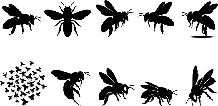 Bee swarm and colony silhouette bundle pack showing flight clusters and individual poses