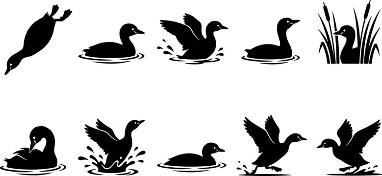 Collection of duck and loon silhouettes diving and swimming for aquatic bird pack