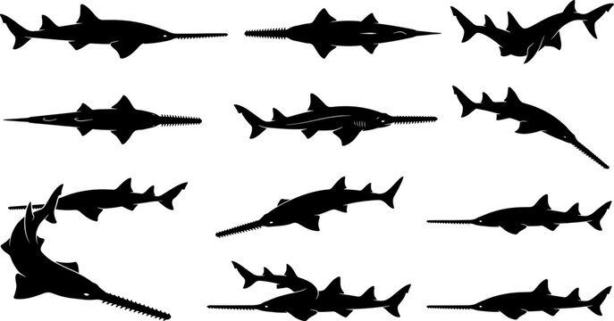 Detailed sawfish silhouette bundle featuring aquatic saw sharks swimming in various underwater angles