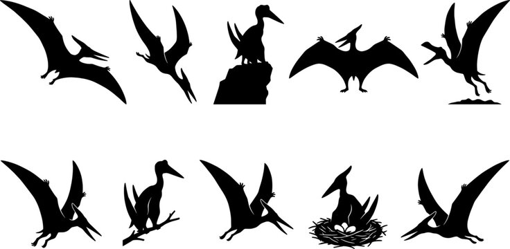 Diverse pack of pterosaur pterodactyl silhouettes flying and nesting in rocky cliffside habitats