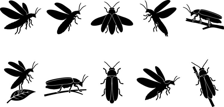 Firefly beetle silhouette pack including flying insects and bugs on leaves for nature graphics
