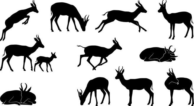 Gazelle and antelope silhouette set showing animals jumping grazing and running across the savanna