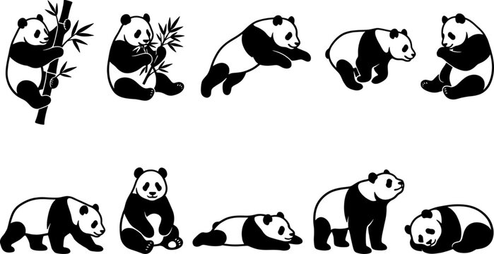 Giant panda bear silhouette set featuring animals climbing bamboo and jumping on transparent background