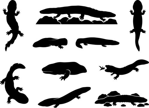 Giant salamander silhouette bundle depicting large amphibians crawling on rocks and swimming in water