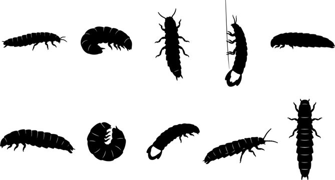 Glowworm and beetle larvae silhouette bundle pack showing different crawling and curved poses