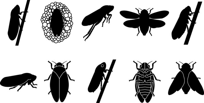 Group of froghopper and spittlebug silhouettes resting on plant stems and leaves