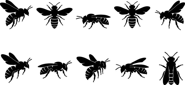 Honey bee insect silhouette set featuring flying and crawling poses on transparent background