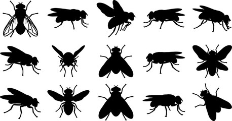 Fototapeta premium Musca domestica house fly silhouette collection set for hygiene and pest control
