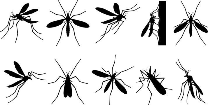 Mosquito insect silhouette bundle set with blood-sucking pests in various flying poses