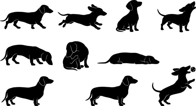 Pack of dachshund silhouettes depicting the long bodied breed in multiple characteristic poses