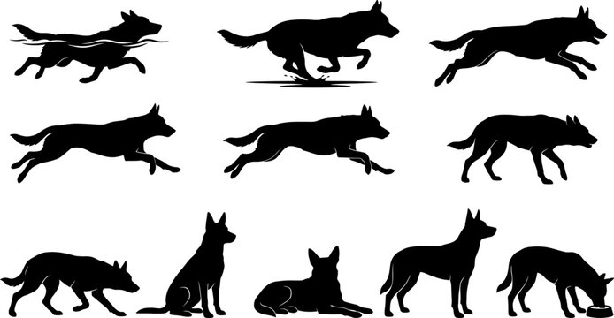 Pack of german shepherd dog silhouettes running jumping and sitting in sequence