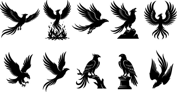 Phoenix firebird silhouette bundle portraying mythical birds of prey flying and rising from burning flames