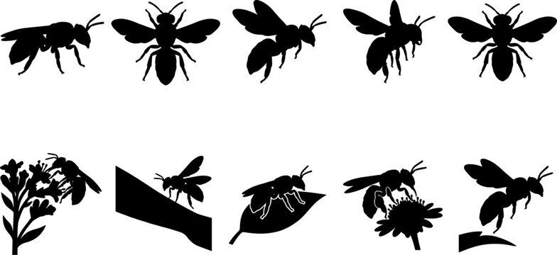 Pollinating bee silhouette bundle featuring honeybees and bumblebees gathering nectar from several different flower types