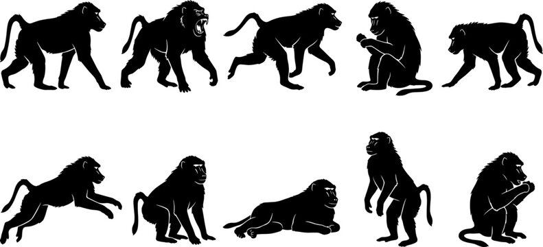 Primate baboon silhouette variety pack showing monkeys in motion and resting on plain background