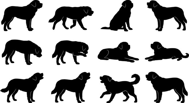 Saint bernard dog silhouette set displaying large breed canines in standing and lying poses