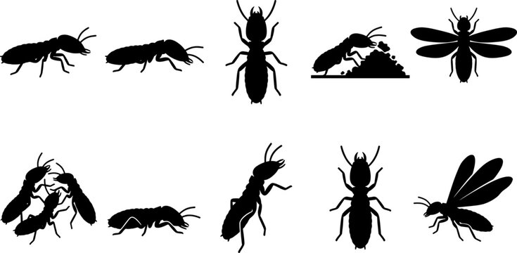 Termite insect silhouette bundle featuring workers and winged alates for nature collection set
