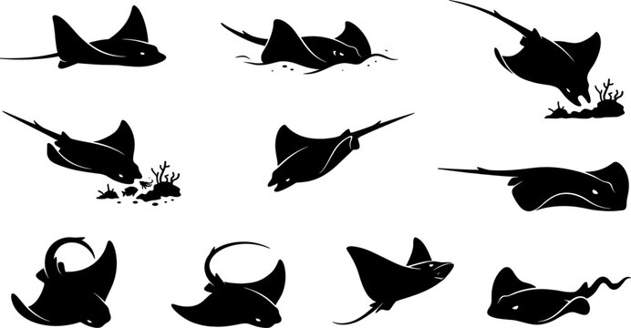 Themed pack of stingray silhouettes swimming and feeding on the seabed for graphics