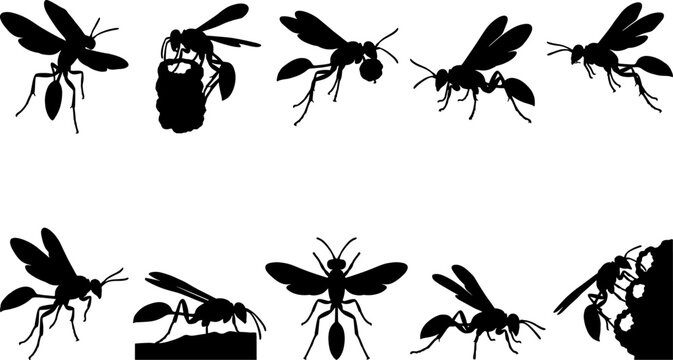 Thread-waisted wasp silhouette bundle pack showing various mud dauber poses and nest building