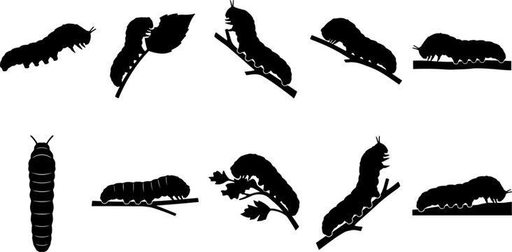 Thick hornworm caterpillar silhouette bundle pack showing feeding and climbing on plant stems