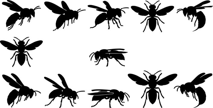 Wasp and hornet silhouette set featuring flying stinging insects in various aerial and resting positions