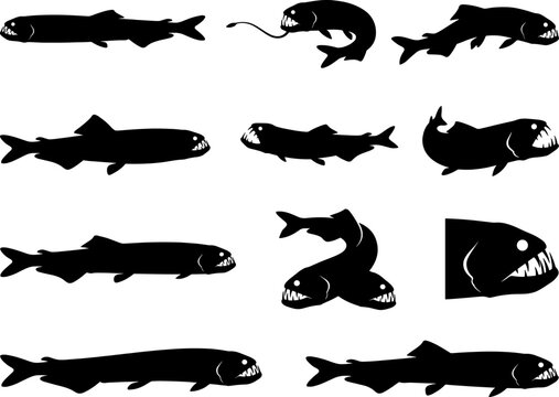 Abyssal deep sea fish silhouette bundle featuring anglerfish and viperfish with sharp predatory teeth