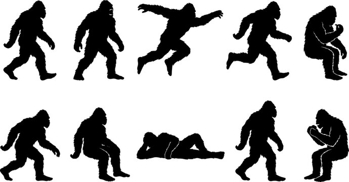 Bigfoot sasquatch cryptid silhouette collection showing the legendary forest creature walking and sitting in nature