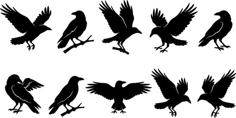 Fototapeta premium Crow and raven silhouette pack showing flying and perching bird poses for nature and spooky themes