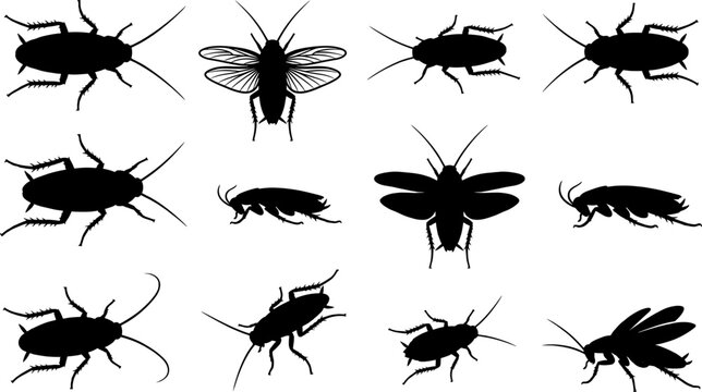Cockroach pest silhouettes bundle including various sizes and wing positions variety set collection pack