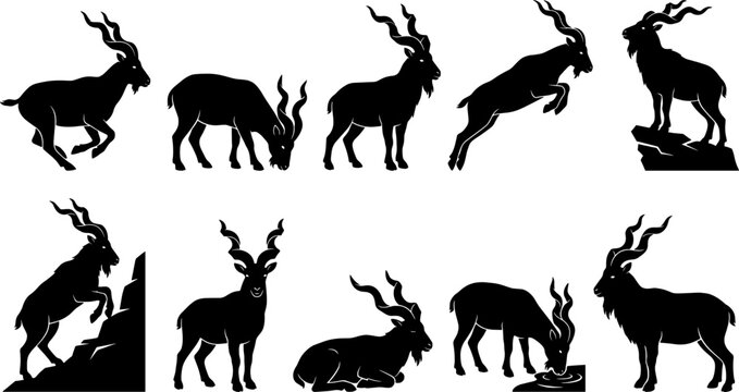 Markhor wild goat silhouettes set featuring spiral horns and mountain poses variety collection bundle
