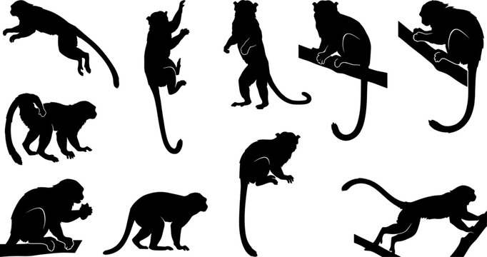 Monkey silhouette variety pack showing primates climbing and jumping on tree branches