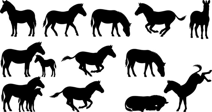 Zebra and horse collection containing wild equid silhouettes galloping and grazing outdoors