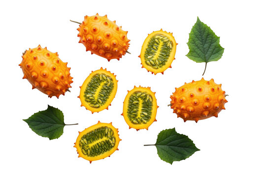 Karela melon arrangement with sliced fruit and leaves on transparent background bitter gourd balingoy pare