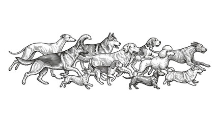 A detailed hand drawn sketch illustration featuring a large group of various dog breeds running together. © Khalil_Ozanich