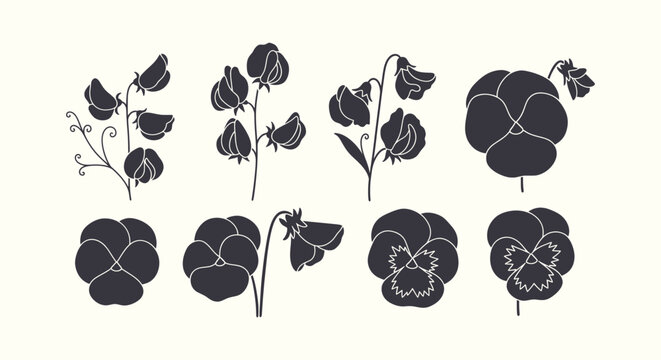 Set of Minimalist Black Floral Silhouettes Sweet Pea and Pansy Flower Botanical Design Elements