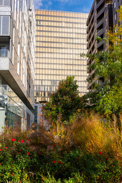 Dense planting and trees lead between apartment blocks in Paris Rive Gauche, where garden vegetation softens residential architecture and urban exterior