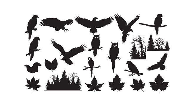 Birds silhouettes eagles owls parrots fall leaves trees nature elements set collection isolated on white background.
