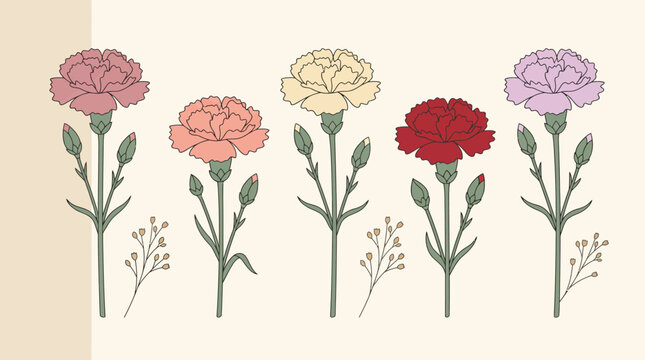 Vintage botanical illustration of colorful carnation flowers in pastel palette on beige background