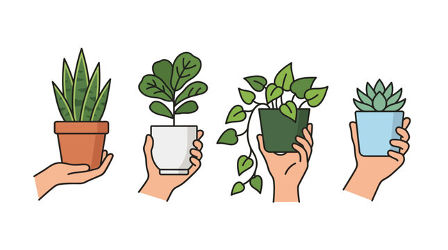 Four hands holding various potted houseplants in a flat illustration style.