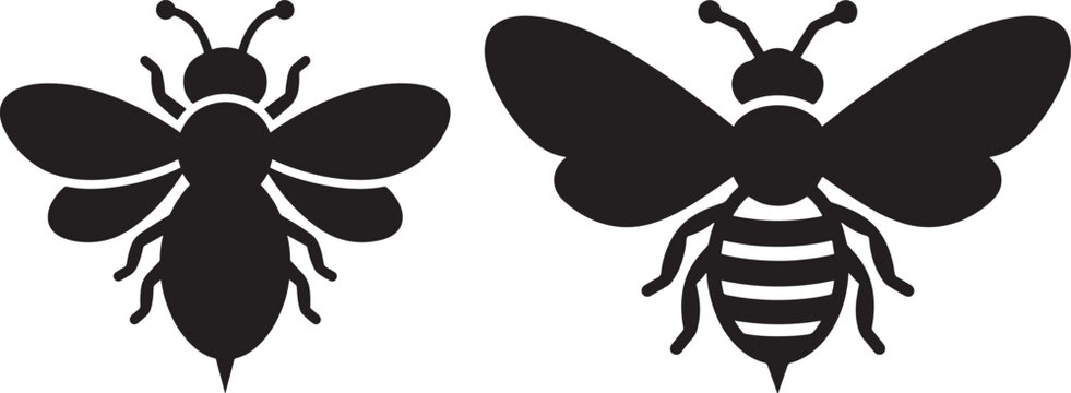 Two bumblebee silhouettes on white background with bumblebee silhouette honeybee isolated illustration pollinator