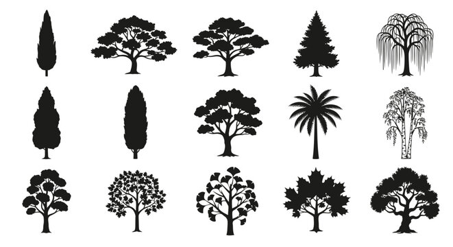 CAD tree lines Tree silhouettes, black tree icons, tree shapes, vector tree symbols, forest elements isolated on White Background vector