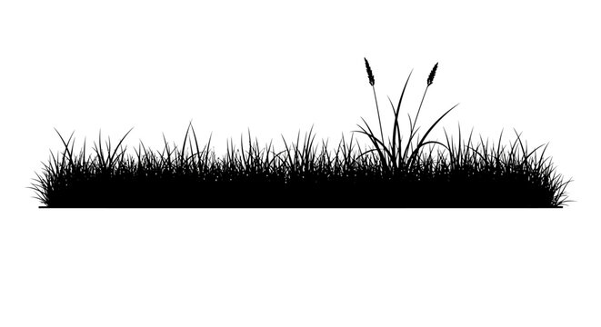CAD tree lines Black grass, cattail silhouette, landscape border, vector grassland, natural scenery isolated on White Background vector