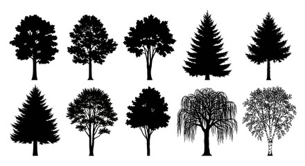 Fototapeta premium CAD tree lines Tree silhouettes, black tree icons, forest trees, vector illustrations isolated on White Background vector