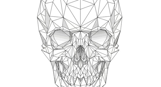 Abstract low poly wireframe human skull on a clean white background. Digital geometric skeletal anatomy illustration, modern technology concept.